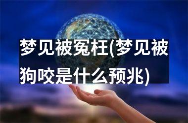 <h3>梦见被冤枉(梦见被狗咬是什么预兆)