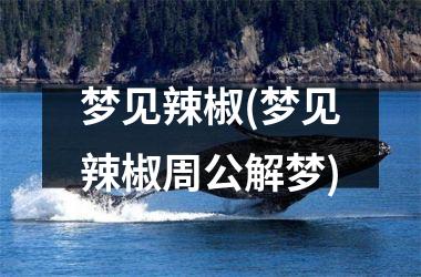 <h3>梦见辣椒(梦见辣椒周公解梦)