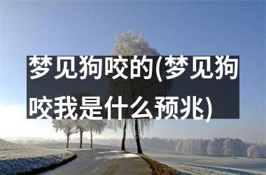 <h3>梦见狗咬的(梦见狗咬我是什么预兆)