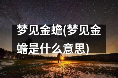 <h3>梦见金蟾(梦见金蟾是什么意思)