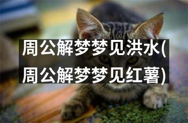 周公解梦梦见洪水(周公解梦梦见红薯)