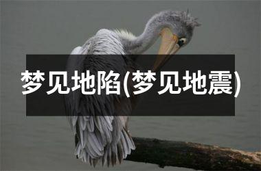 <h3>梦见地陷(梦见地震)