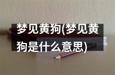 <h3>梦见黄狗(梦见黄狗是什么意思)