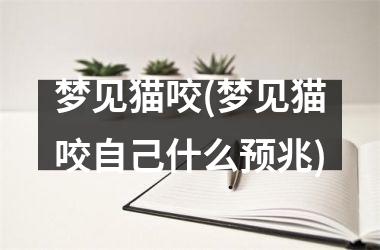 <h3>梦见猫咬(梦见猫咬自己什么预兆)