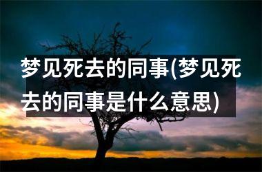 <h3>梦见死去的同事(梦见死去的同事是什么意思)