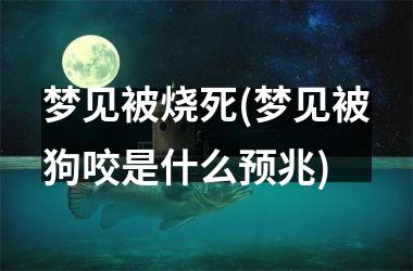 <h3>梦见被烧死(梦见被狗咬是什么预兆)