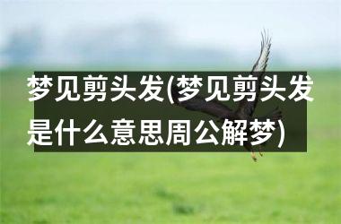 <h3>梦见剪头发(梦见剪头发是什么意思周公解梦)