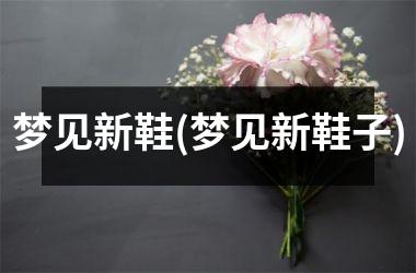 <h3>梦见新鞋(梦见新鞋子)