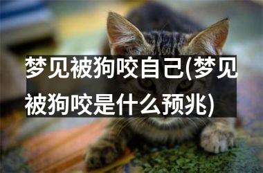 <h3>梦见被狗咬自己(梦见被狗咬是什么预兆)