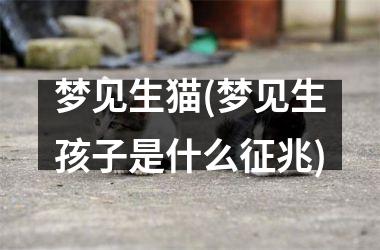 <h3>梦见生猫(梦见生孩子是什么征兆)