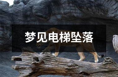 <h3>梦见电梯坠落