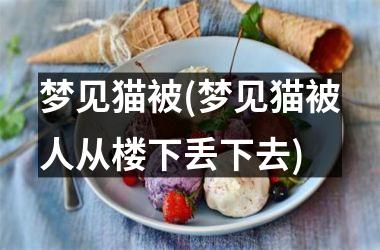 <h3>梦见猫被(梦见猫被人从楼下丢下去)