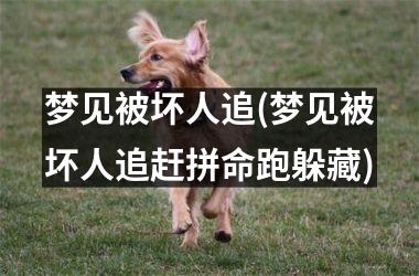 <h3>梦见被坏人追(梦见被坏人追赶拼命跑躲藏)