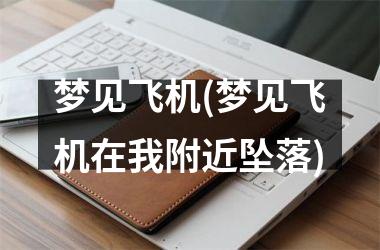 <h3>梦见飞机(梦见飞机在我附近坠落)