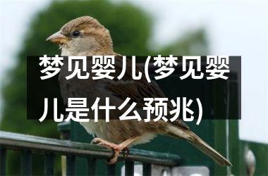 <h3>梦见婴儿(梦见婴儿是什么预兆)