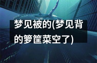 <h3>梦见被的(梦见背的箩筐菜空了)