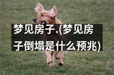 <h3>梦见房子.(梦见房子倒塌是什么预兆)