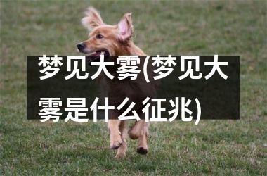 <h3>梦见大雾(梦见大雾是什么征兆)
