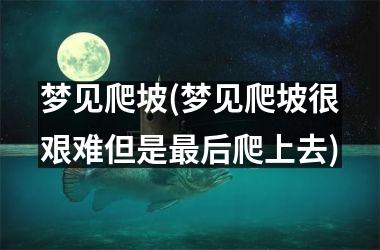 <h3>梦见爬坡(梦见爬坡很艰难但是后爬上去)