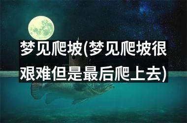 梦见爬坡(梦见爬坡很艰难但是更后爬上去)