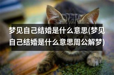 <h3>梦见自己结婚是什么意思(梦见自己结婚是什么意思周公解梦)