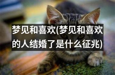 <h3>梦见和喜欢(梦见和喜欢的人结婚了是什么征兆)
