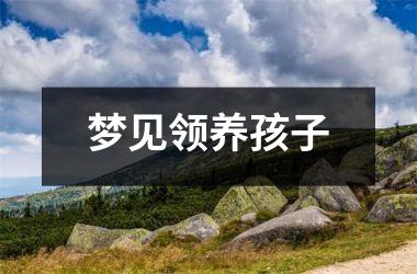 <h3>梦见领养孩子