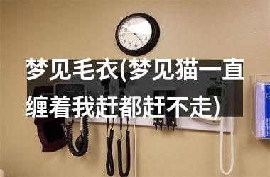 <h3>梦见毛衣(梦见猫一直缠着我赶都赶不走)