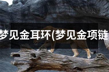 <h3>梦见金耳环(梦见金项链)
