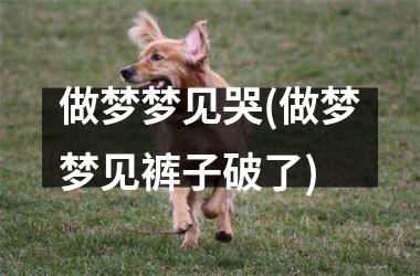 <h3>做梦梦见哭(做梦梦见裤子破了)