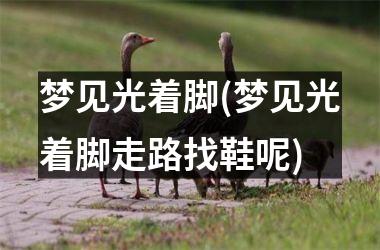 梦见光着脚(梦见光着脚走路找鞋呢)