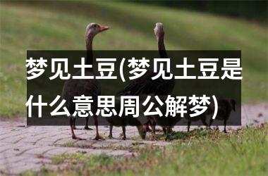 <h3>梦见土豆(梦见土豆是什么意思周公解梦)