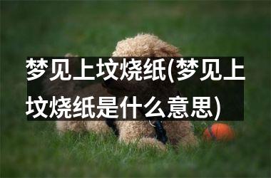 <h3>梦见上坟烧纸(梦见上坟烧纸是什么意思)