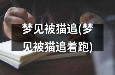 <h3>梦见被猫追(梦见被猫追着跑)