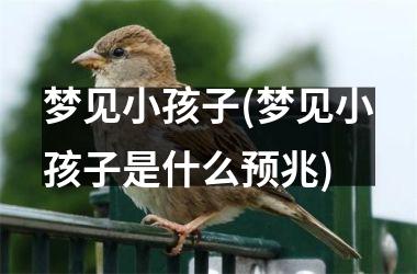 梦见小孩子(梦见小孩子是什么预兆)