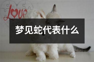 <h3>梦见蛇代表什么