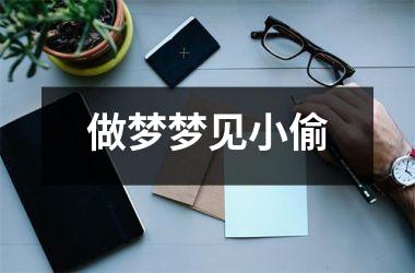 <h3>做梦梦见小偷