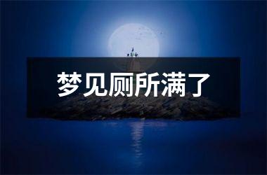<h3>梦见厕所满了