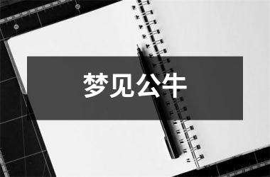 梦见公牛