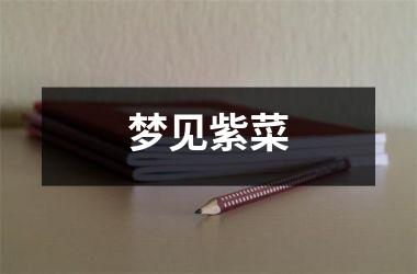 <h3>梦见紫菜