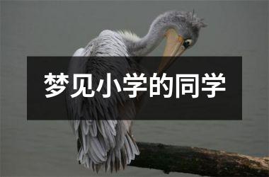 <h3>梦见小学的同学