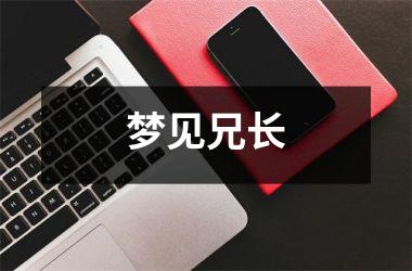 <h3>梦见兄长