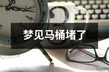 <h3>梦见马桶堵了