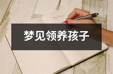 <h3>梦见领养孩子