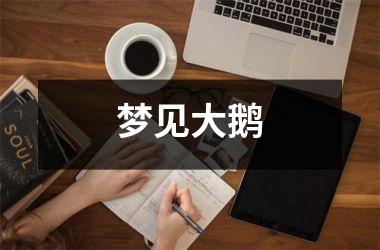 <h3>梦见大鹅