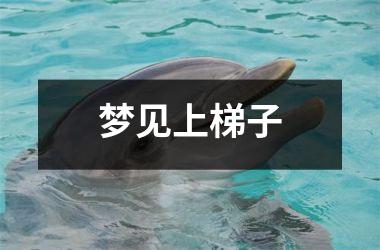 <h3>梦见上梯子