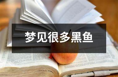 <h3>梦见很多黑鱼