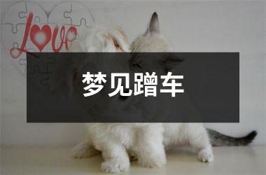 <h3>梦见蹭车