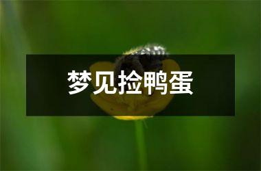 <h3>梦见捡鸭蛋