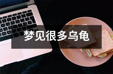 <h3>梦见很多乌龟